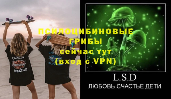 бошки Аркадак
