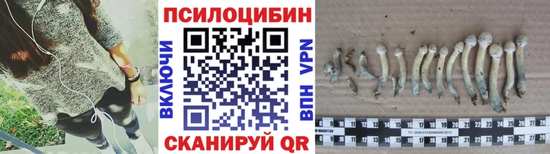 Псилоцибиновые грибы MAGIC MUSHROOMS Учалы